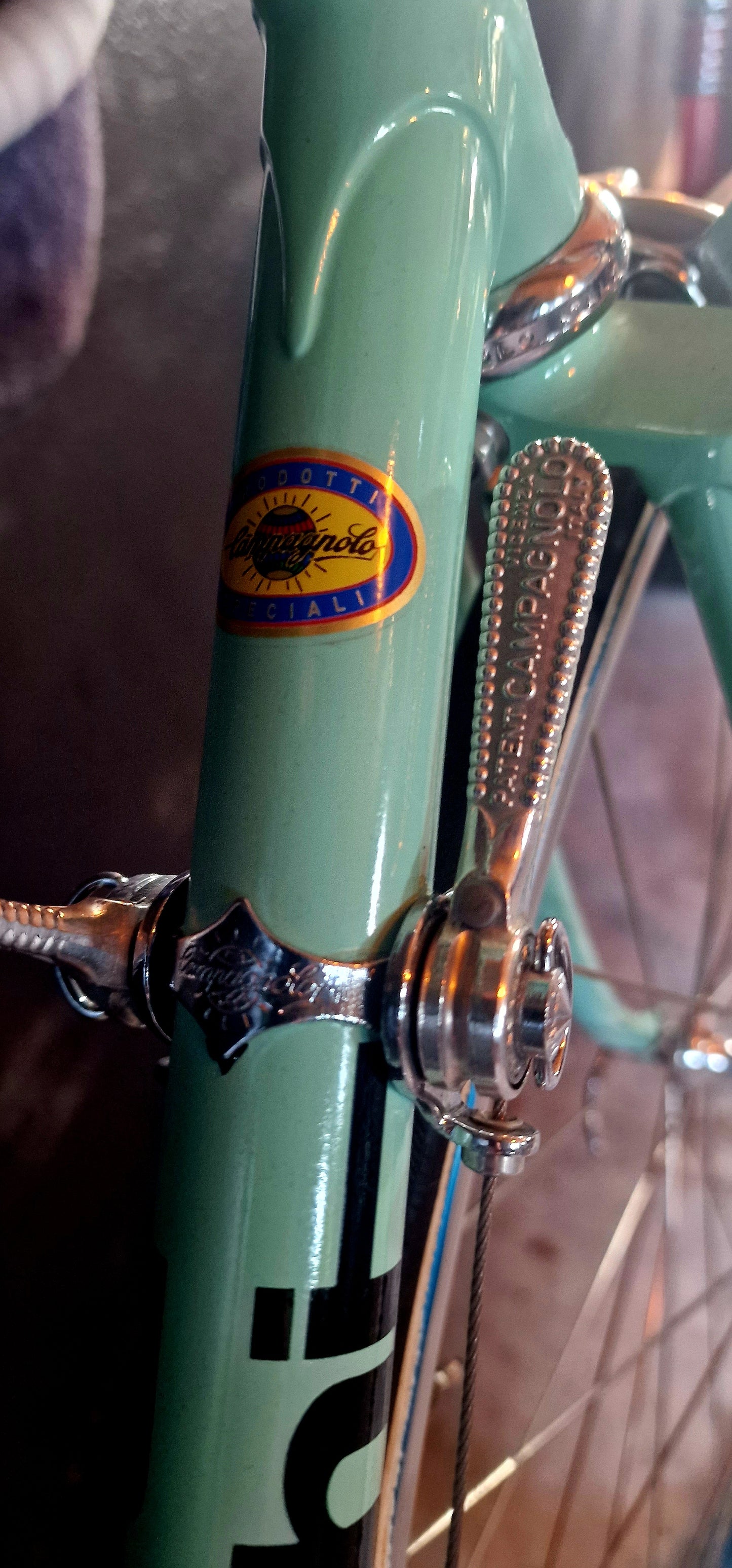 1974 Bianchi Specialissima Professionale "Gimondi"